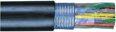 24AWG/100 Pair Outdoor Telephone Cable ? PE-89 CACSP (RUS Standard)