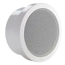 LB1-UM06E-1 Metal Cabinet Loudspeaker